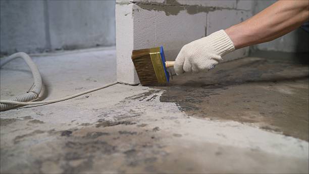 24/7 Emergency Waterproofing experts in Thorsby, AL
